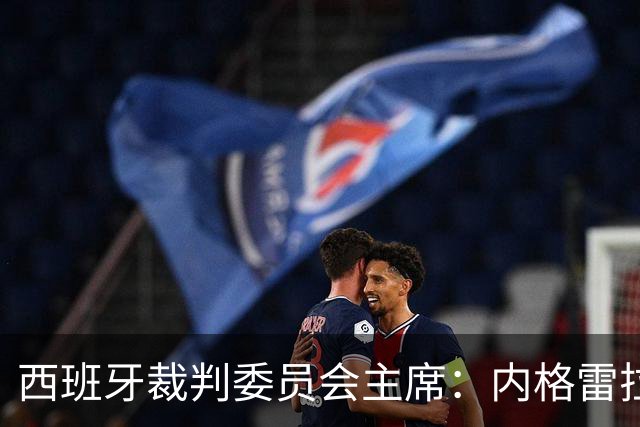 西班牙裁判委员会主席：内格雷拉案玷污了裁判界的纯洁性
